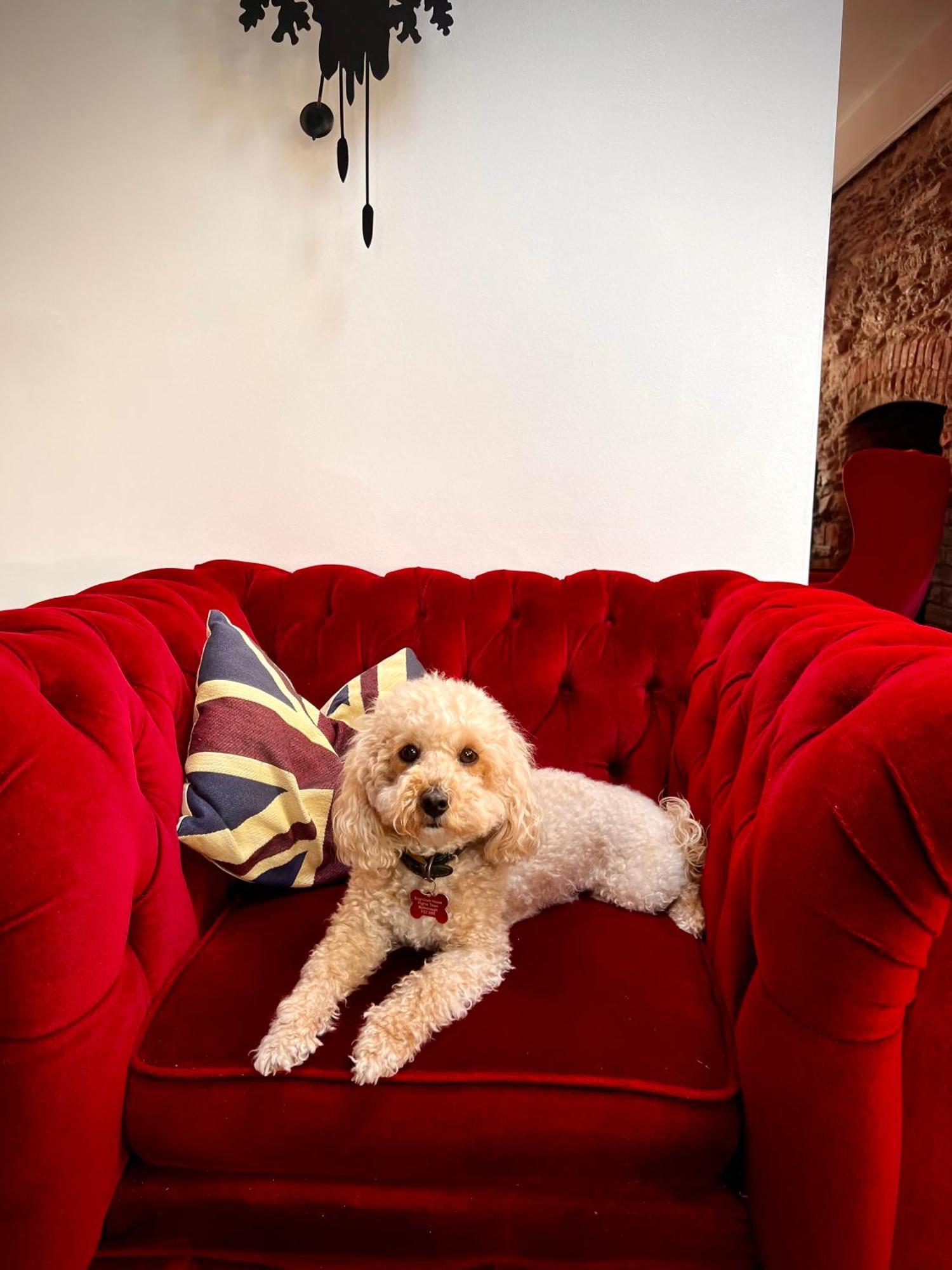 Brightham House - Exclusively For Adults Bed & Breakfast ซัลคอมบ์ ภายนอก รูปภาพ